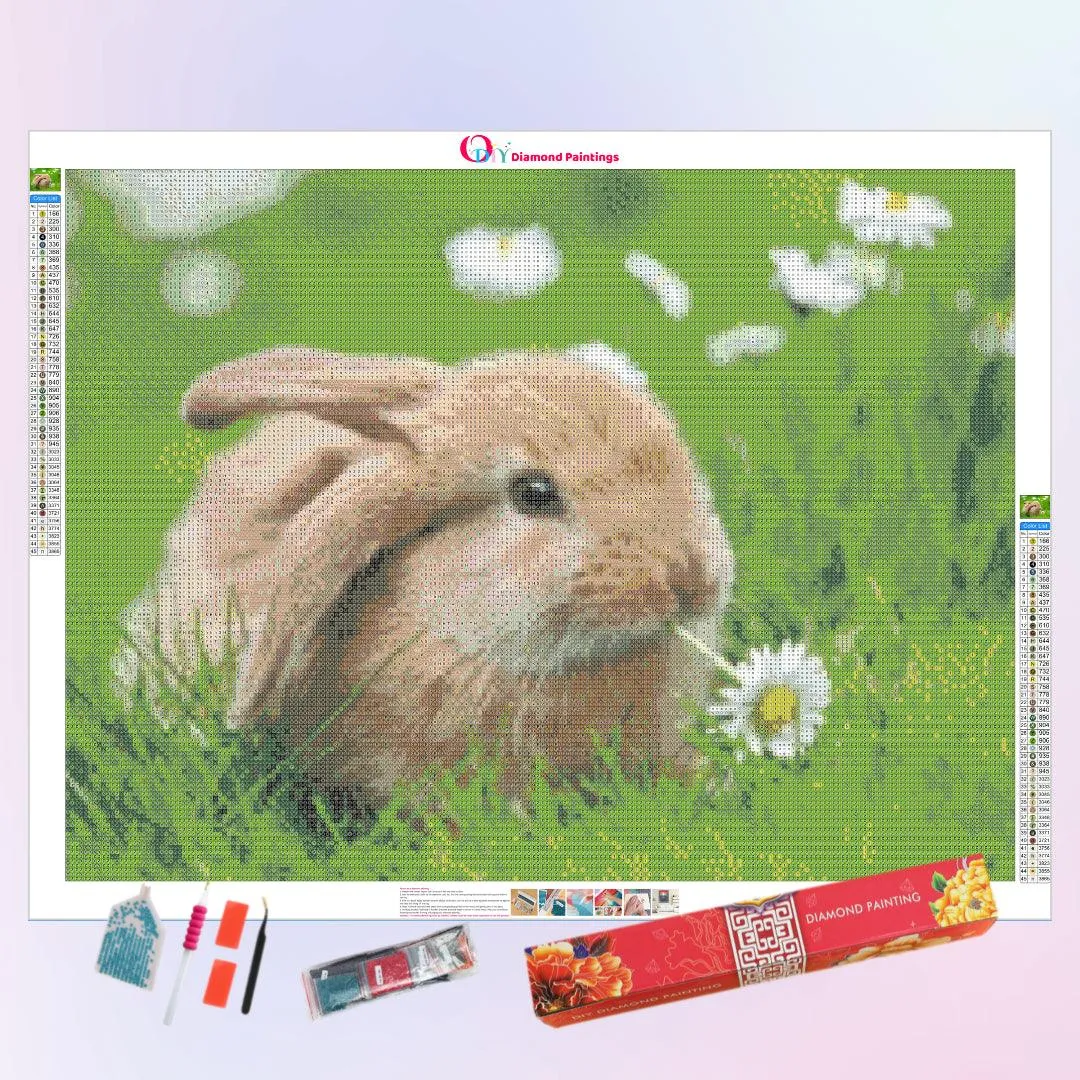 Well-behaved Rabbit