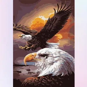 Well-Trained Eagle